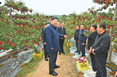 极速28网